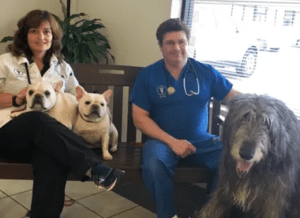 Chadwell Animal Hospital a Maryland Pet Gazette sponsor
