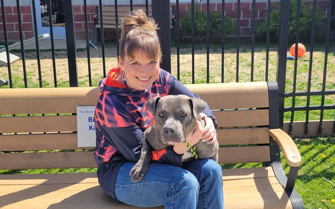 What We Can Learn From Our Pets