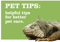 Pet Tips