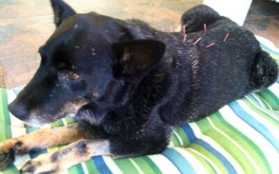 Like Turning Back the Clock