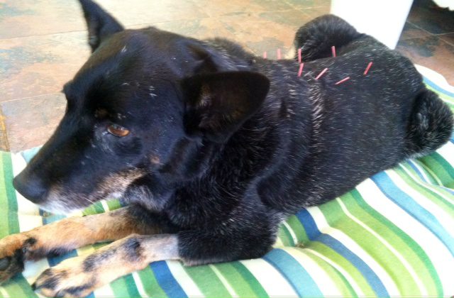 Like Turning Back the Clock