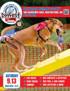 Dogfest promoted by Maryland Pet Gazette