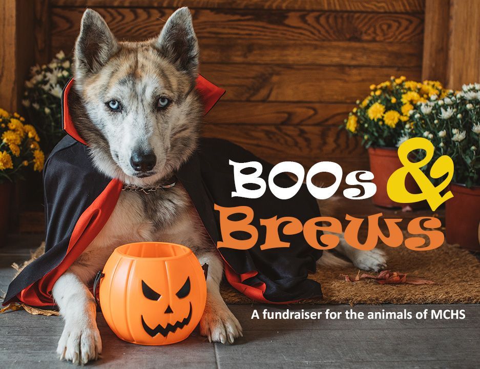 BooBrew-dog937x720-2880w Boos and Brews promoted by Maryland Pet Gazette